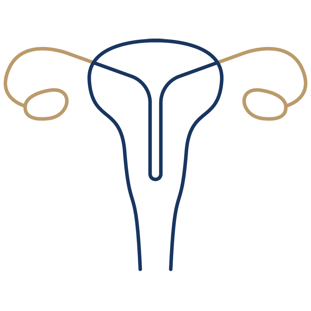 Gynekologie a urogynekologie