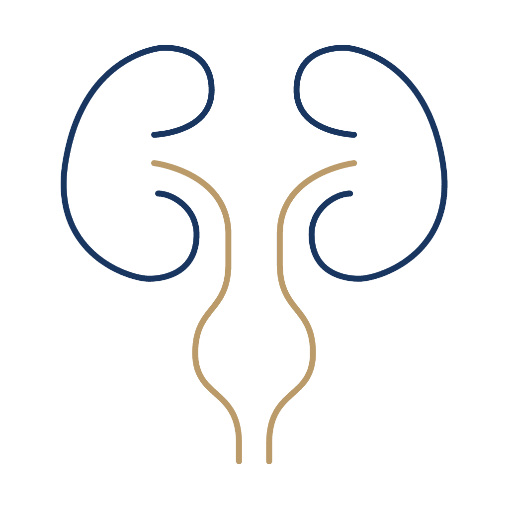 Urologie